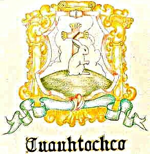Auxiliar 3